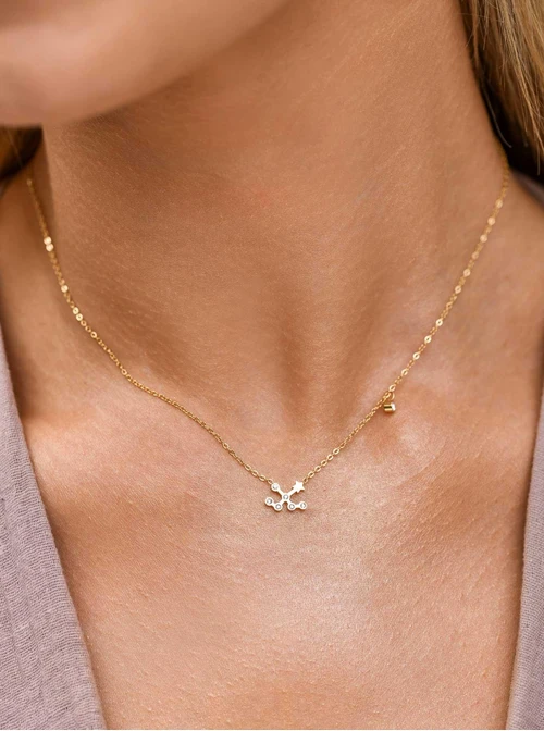 Naszyjnik znak zodiaku Wodnik, stal pozłacana S303471Z00