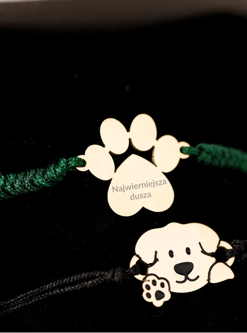 Bransoletka grawer, łapka, zielony, stal pozłacana S108078Z-05