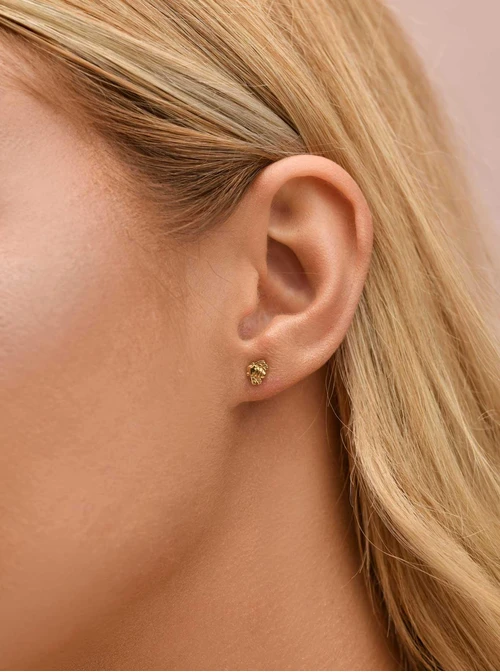 Kolczyki malutkie owady, stal pozłacana S209981Z00