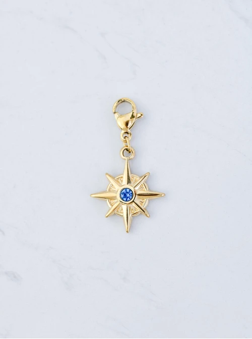 Zawieszka, charms róża wiatrów, stal pozłacana SC09791Z00