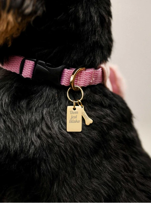 Zawieszka do breloka kość, stal pozłacana SC08140Z00