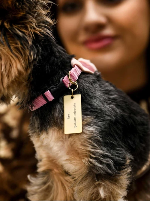 Zawieszka do breloka, stal pozłacana SC08142Z00