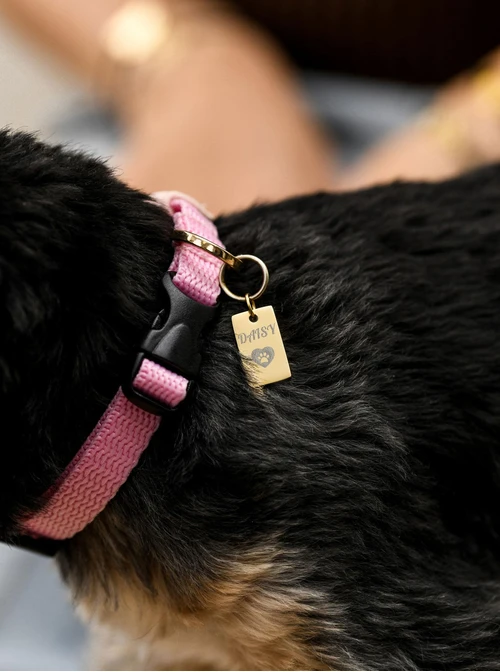 Zawieszka do breloka, stal pozłacana SC08142Z00