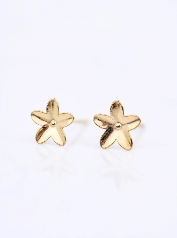 Zestaw Kolczyków Rose Mist