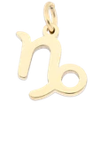 Zawieszka znak zodiaku Koziorożec, stal pozłacana SC16527Z00-08