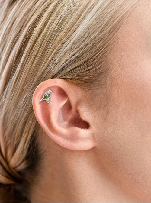 Kolczyk do piercingu labret, dinozaur, stal ST15853S00