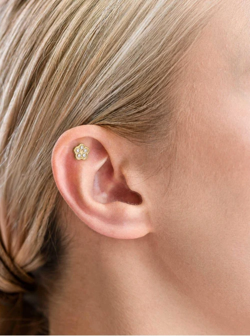 Kolczyk do piercingu labret, kwiatek, stal pozłacana ST15916Z00