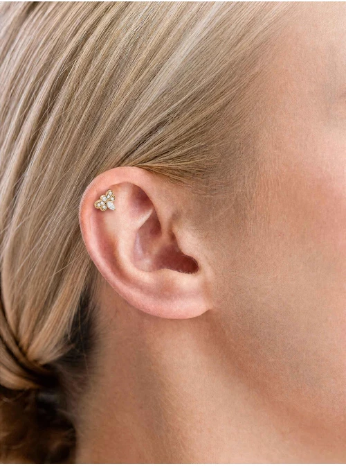 Kolczyk do piercingu labret, owad, stal pozłacana ST15918Z00
